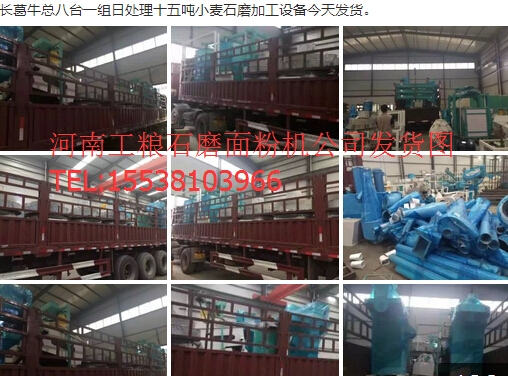 長(zhǎng)葛?？偘伺_(tái)一組日處理十五噸小麥?zhǔn)ゼ庸っ娣蹤C(jī)設(shè)備今天發(fā)貨
